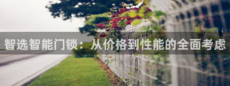 利记官网备用网址：智选智能门锁：从价格到性能的全面考虑