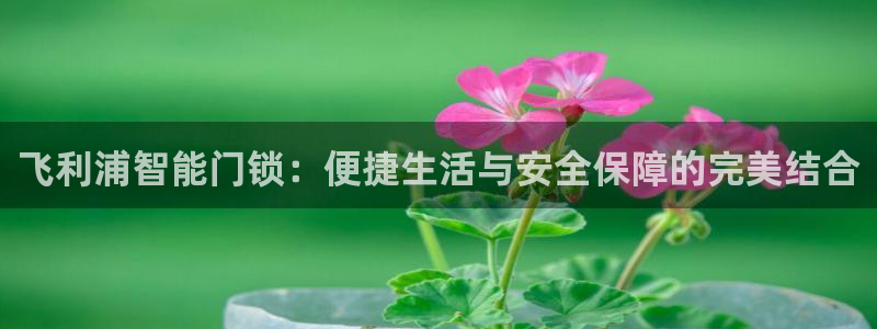 万利记官网：飞利浦智能门锁：便捷生活与安全保障的完美结合