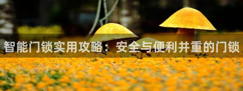 利记体育官网：智能门锁实用攻略：安全与便利并重的门锁