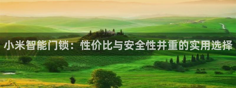 利记坊官网：小米智能门锁：性价比与安全性并重的实用选择