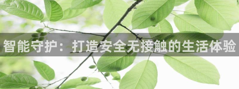 利记官网多少：智能守护：打造安全无接触的生活体验