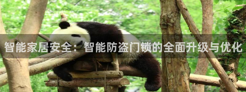 利记亚洲官网：智能家居安全：智能防盗门锁的全面升级与优化