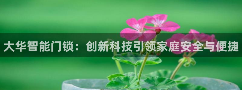 利记体育平台官网：大华智能门锁：创新科技引领家庭安全与便捷