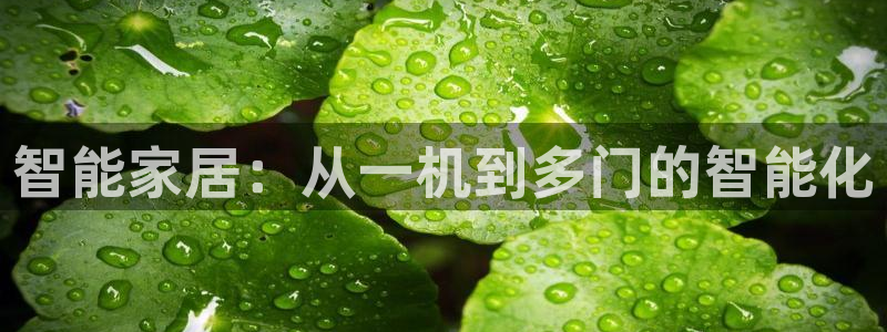 利记官网香菜1：智能家居：从一机到多门的智能化