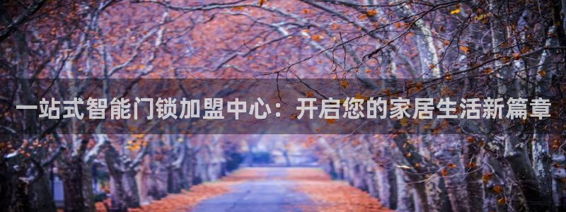 利记sbobet官网电脑版：一站式智能门锁加盟中心：开启您的