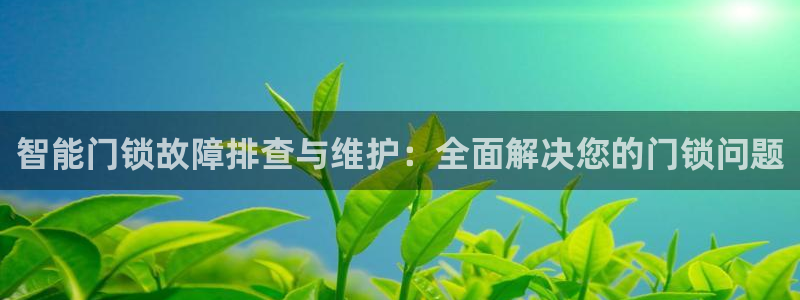 利记手机官网电子mg官方网站：智能门锁故障排查与维护：全面解