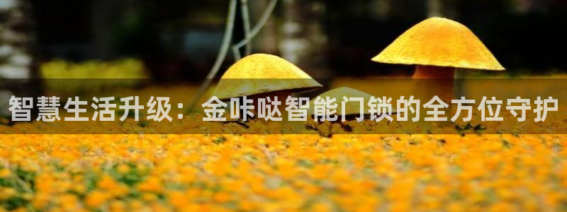 利记app官方官网登录：智慧生活升级：金咔哒智能门锁的全方位