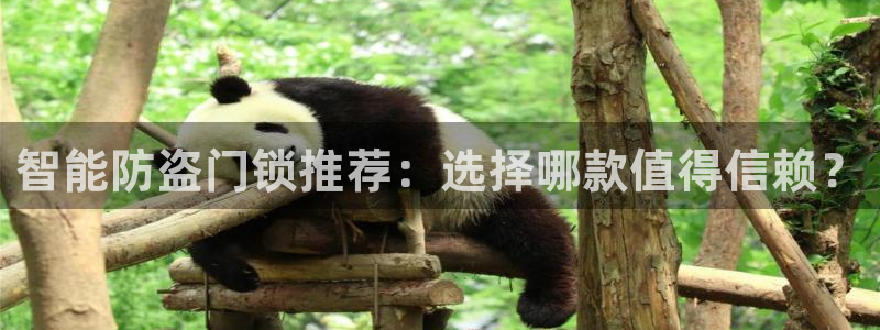 利记官网加盟：智能防盗门锁推荐：选择哪款值得信赖？