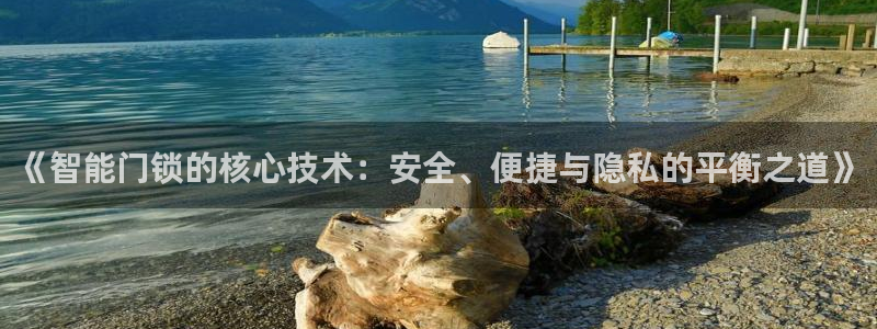 利记官网app下载网址：《智能门锁的核心技术：安全、便捷与隐