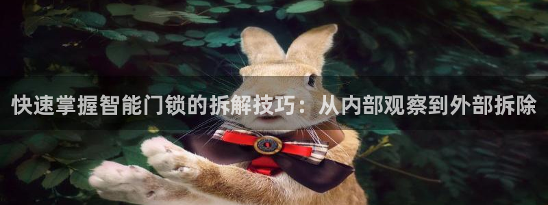 利记游戏官网：快速掌握智能门锁的拆解技巧：从内部观察到外部拆