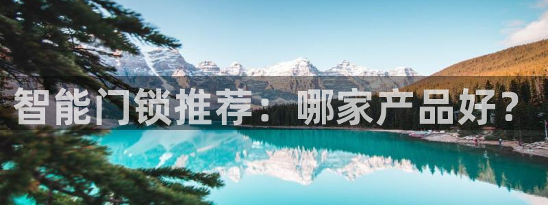 利记手机官网葡京备用：智能门锁推荐：哪家产品好？