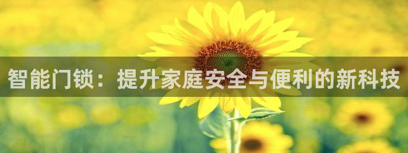 万利记加盟官网电话：智能门锁：提升家庭安全与便利的新科技