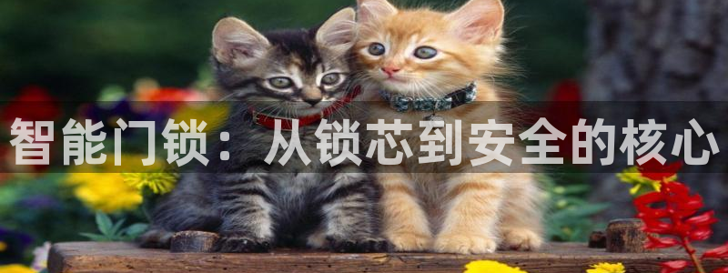 利记正式官网：智能门锁：从锁芯到安全的核心