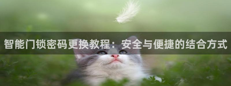 万利记加盟官网电话：智能门锁密码更换教程：安全与便捷的结合方