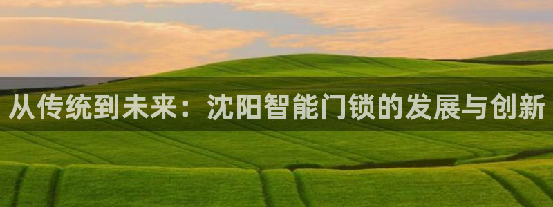 利记集团官网：从传统到未来：沈阳智能门锁的发展与创新