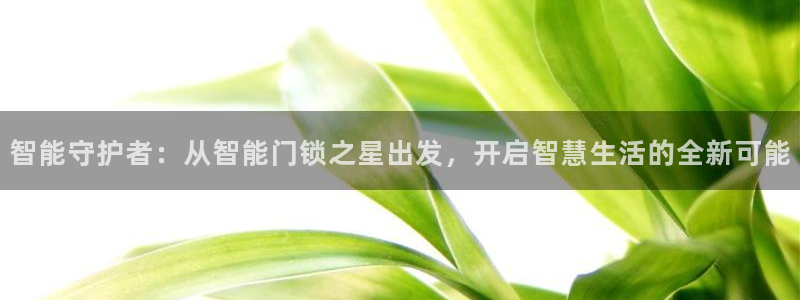 利记 官网：智能守护者：从智能门锁之星出发，开启智慧生活的全
